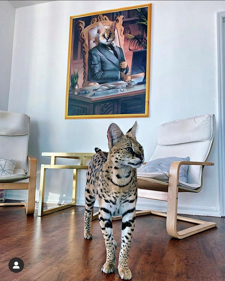 The Executive - Your Pet Here: Custom Pet Painting