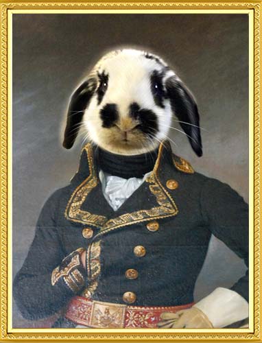 The Admiral - Your Pet Here: Custom Pet Painting